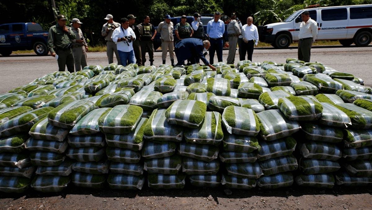 Decomiso de musgo en Carabobo