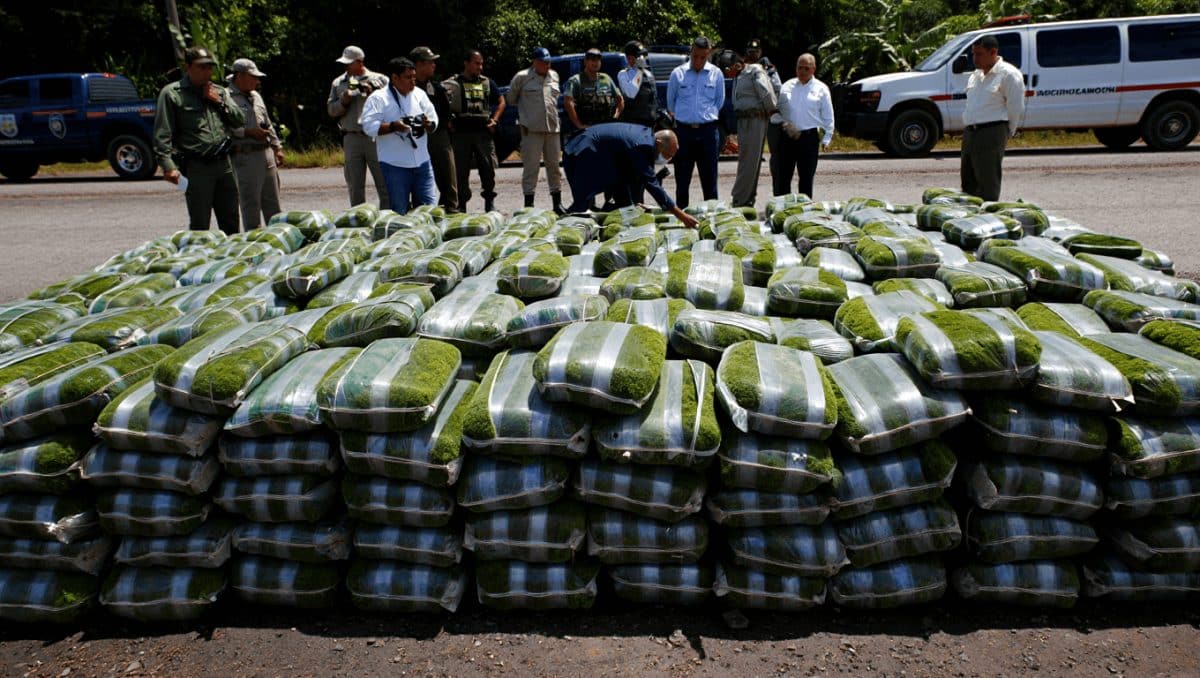 Decomiso de musgo en Carabobo