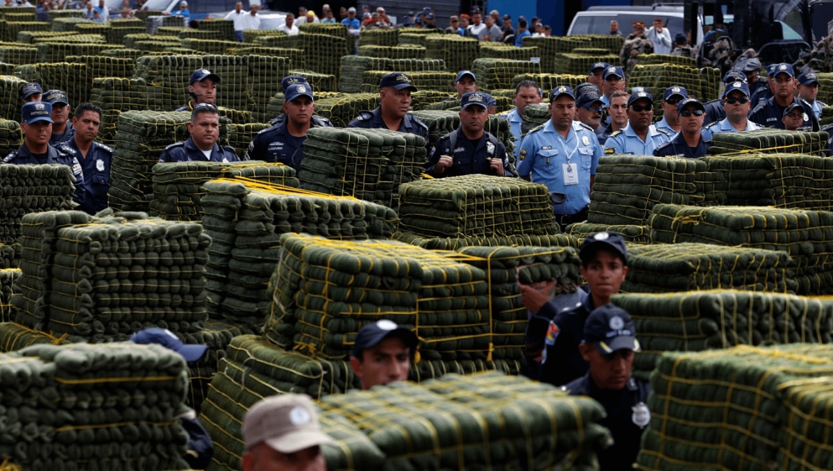 Decomiso de musgo en Carabobo