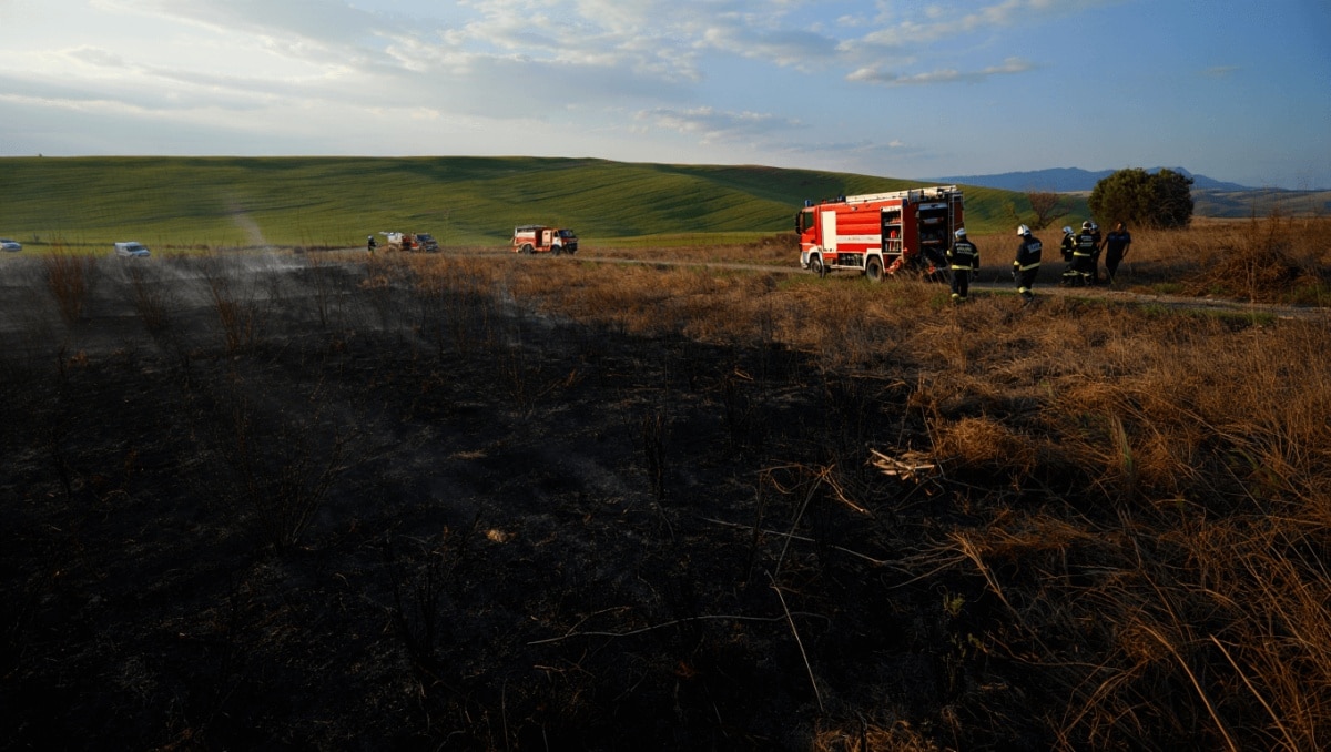 Controlado un incendio declarado en Valleseco tras afectar a unos 2.000 metros cuadrados de vegetación