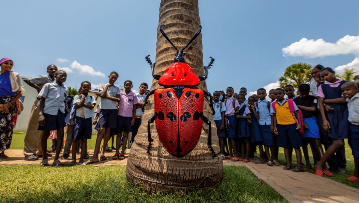 Dispositivo para detectar el picudo rojo en palmeras