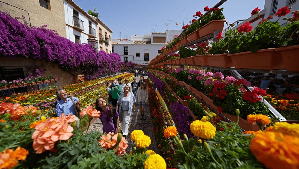 plantas en flor en ciudad