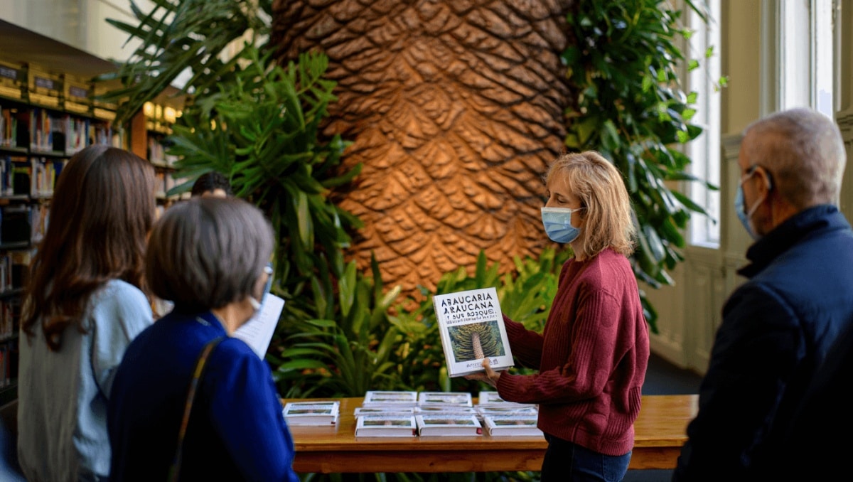 Bosques de araucaria araucana
