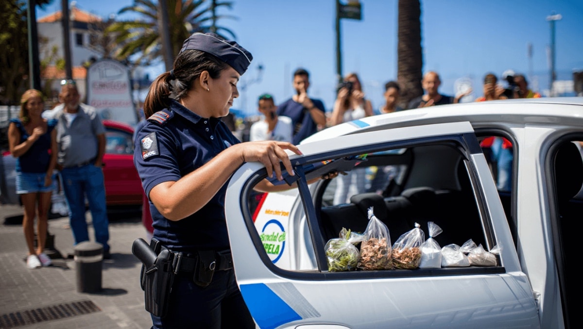 Detienen a un hombre en Mogán con marihuana, hachís y cocaína en un coche de alquiler