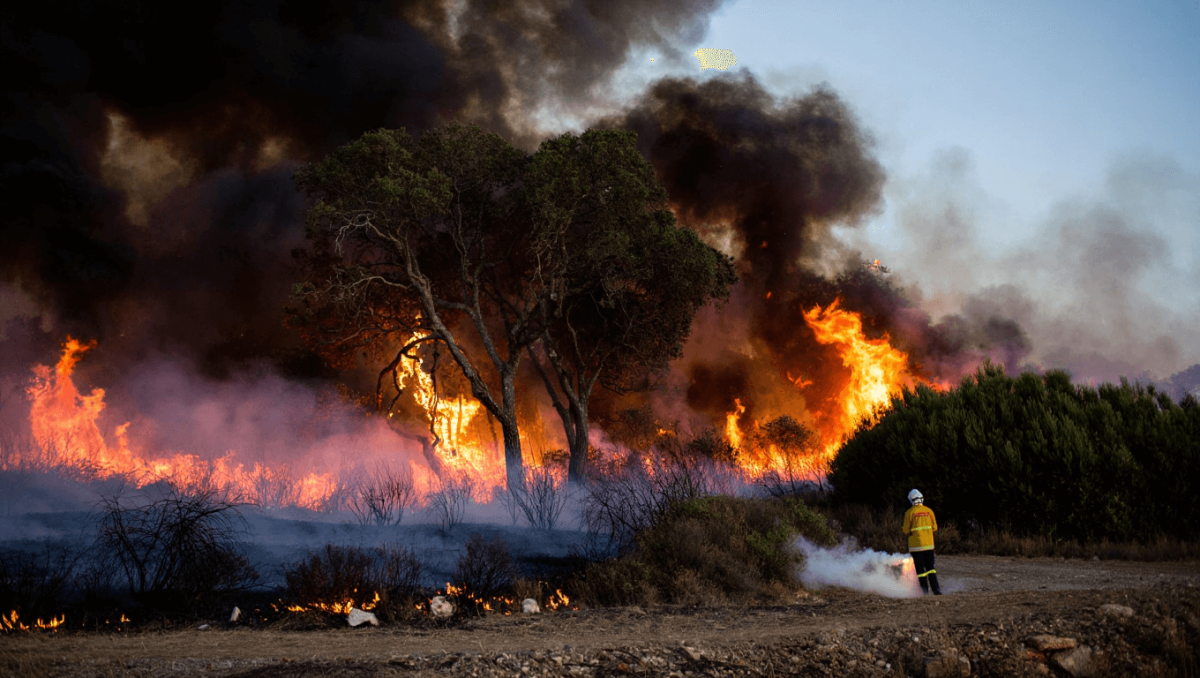 Incendio forestal en Lorca
