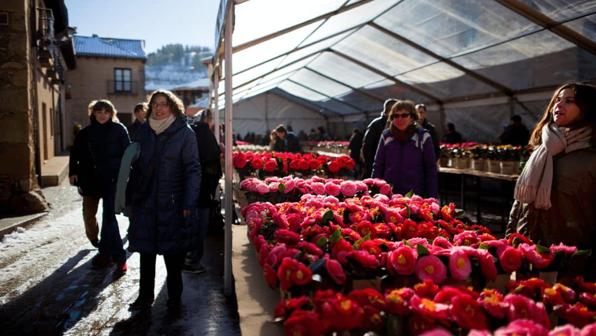 exposición internacional de las camelias