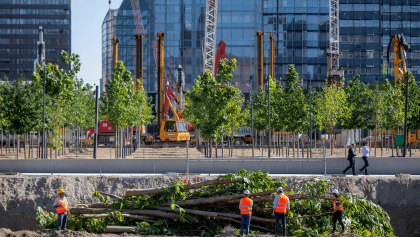reforma de AZCA con 1.000 árboles