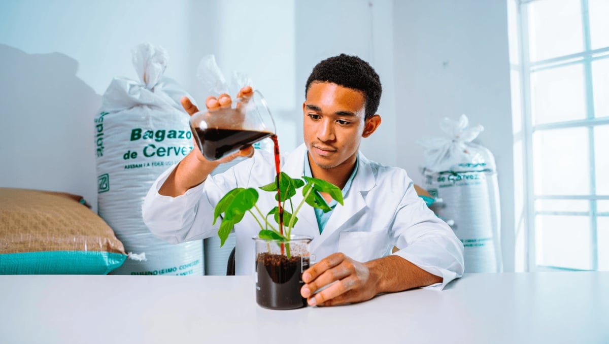 Cebadilla de cerveza como biofertilizante