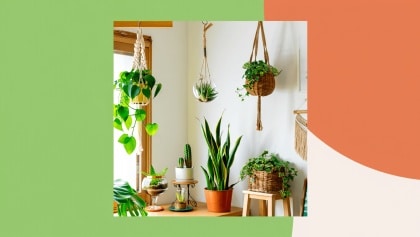 Rincón verde en casa con plantas