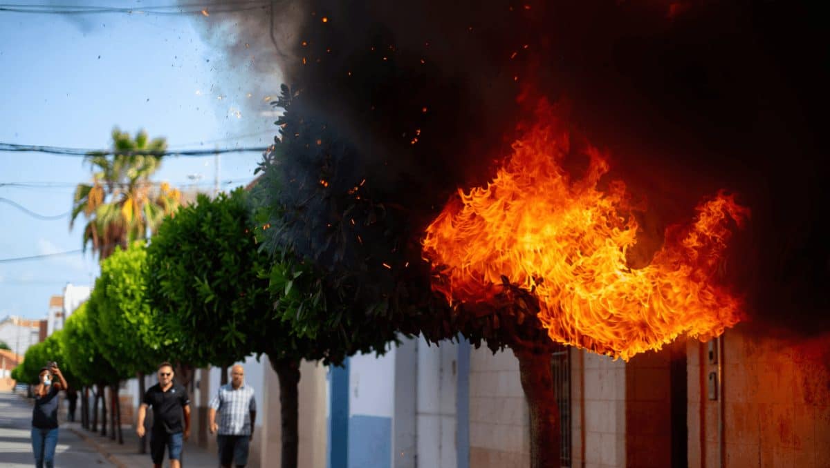 Incendio en árboles y palmeras por cortocircuito