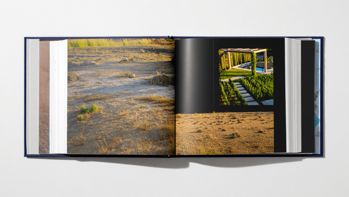 Diseño de jardín desde cero