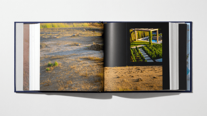 Diseño de jardín desde cero