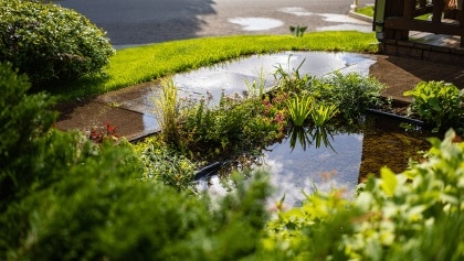 jardín de lluvia aprovechando agua de tormenta