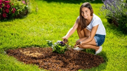 mulching casero en jardin