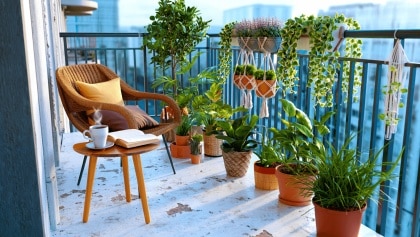 terraza fea y desaprovechada