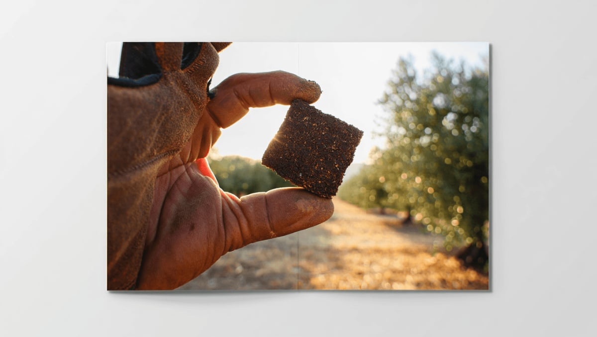 Biochar de oliva certificado en la Unión Europea