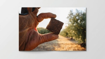 Biochar de oliva certificado en la Unión Europea