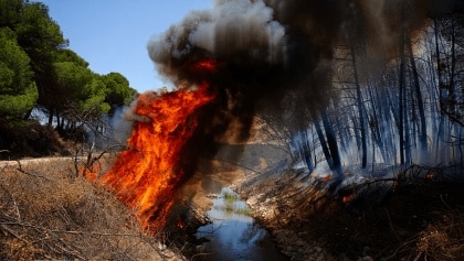 Incendio forestal en Córdoba