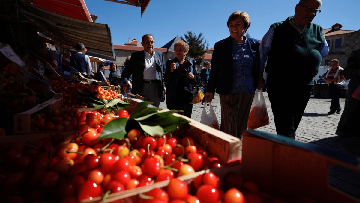 Cerezas frescas de Pueblica de Valverde