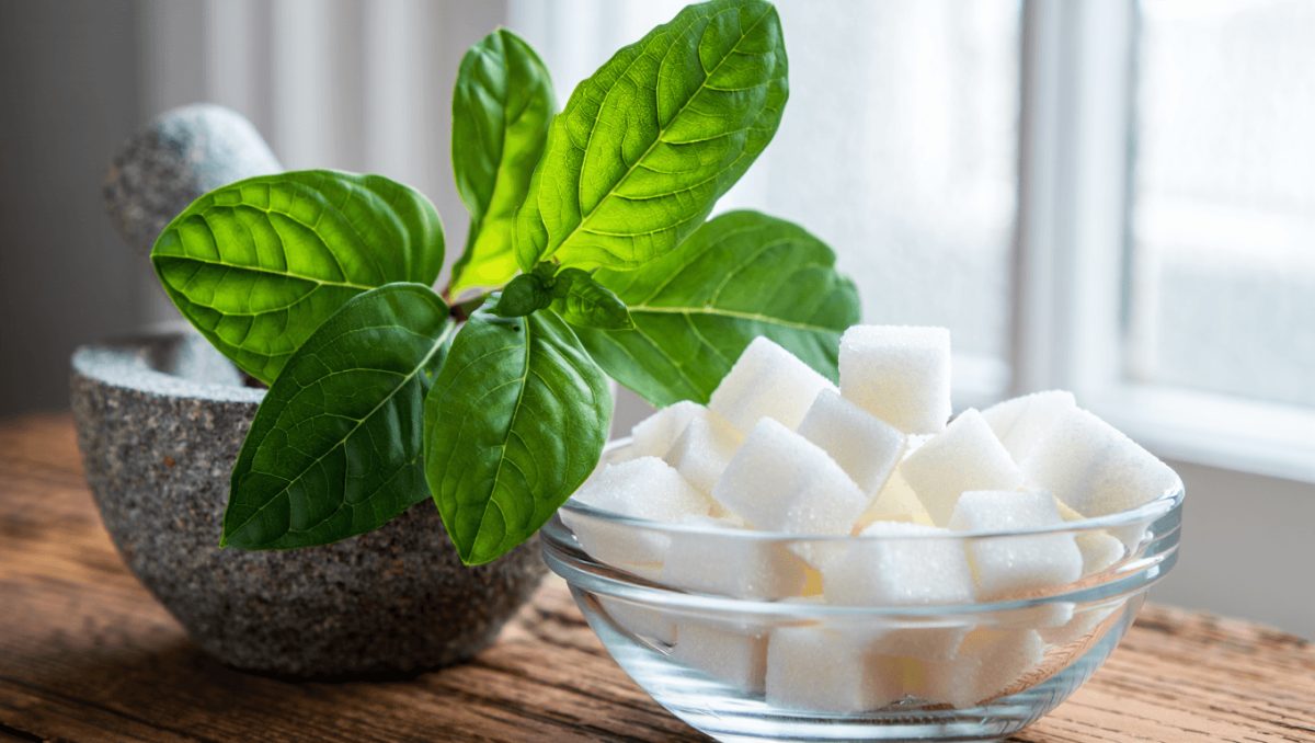 Plantas medicinales para el control de la diabetes