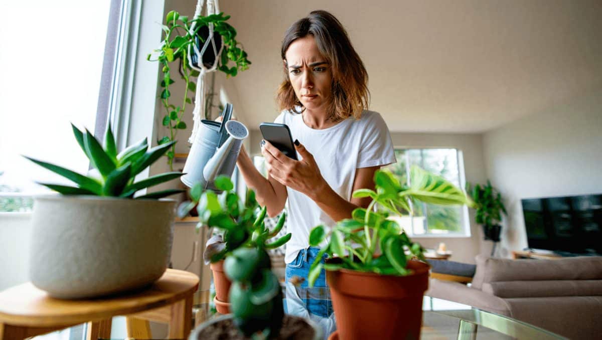 Plantas resistentes