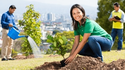 Reforestación de áreas verdes
