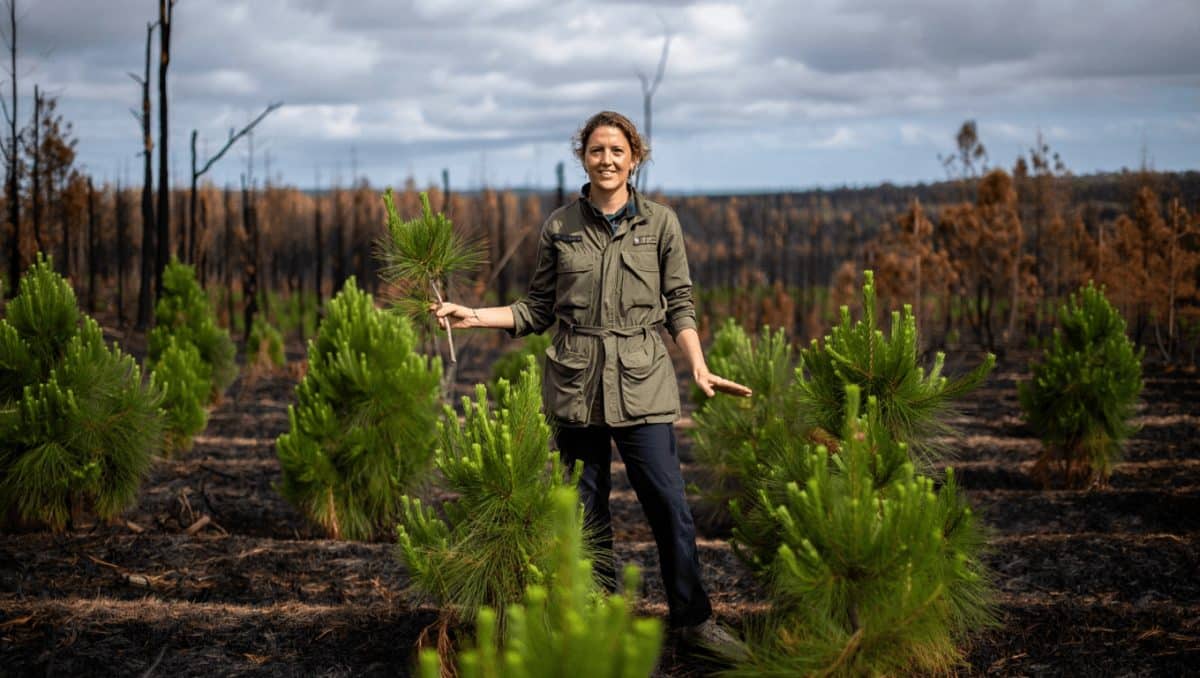Victoria Hohenlohe en Doñana: «Restaurar bosques no es solo plantar árboles»