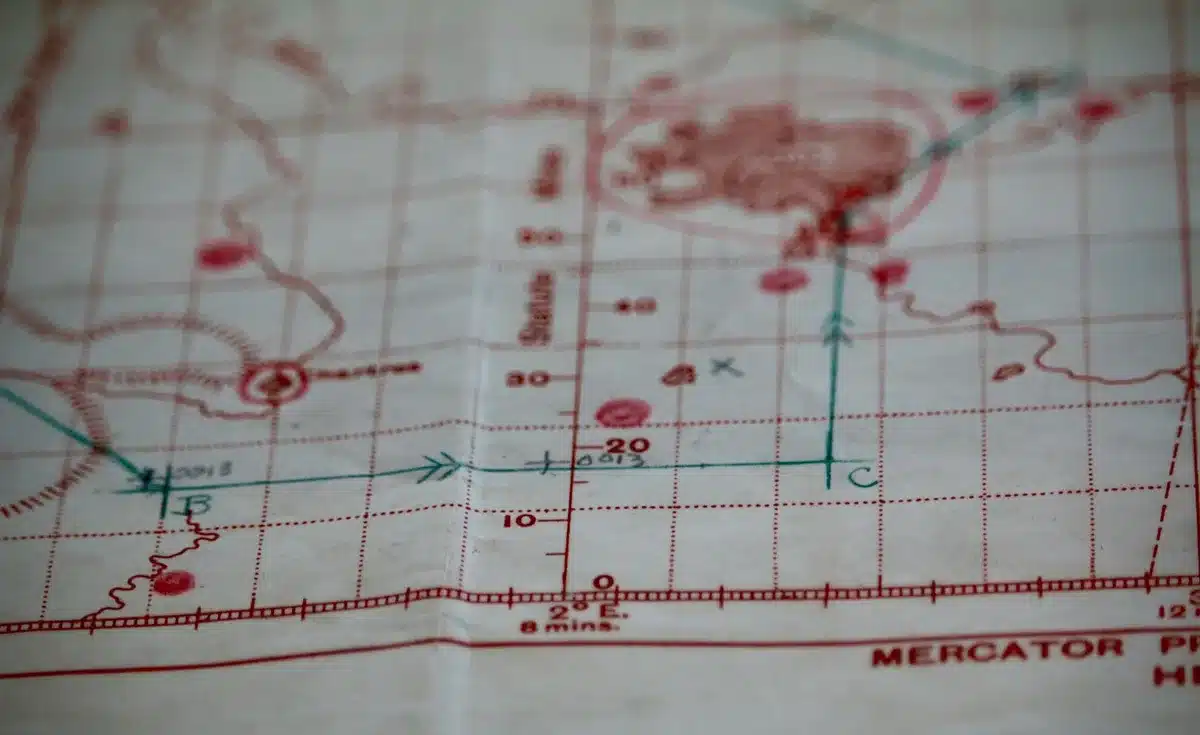 Gráfico de flujos migratorios mostrando entradas y salidas por nacionalidad