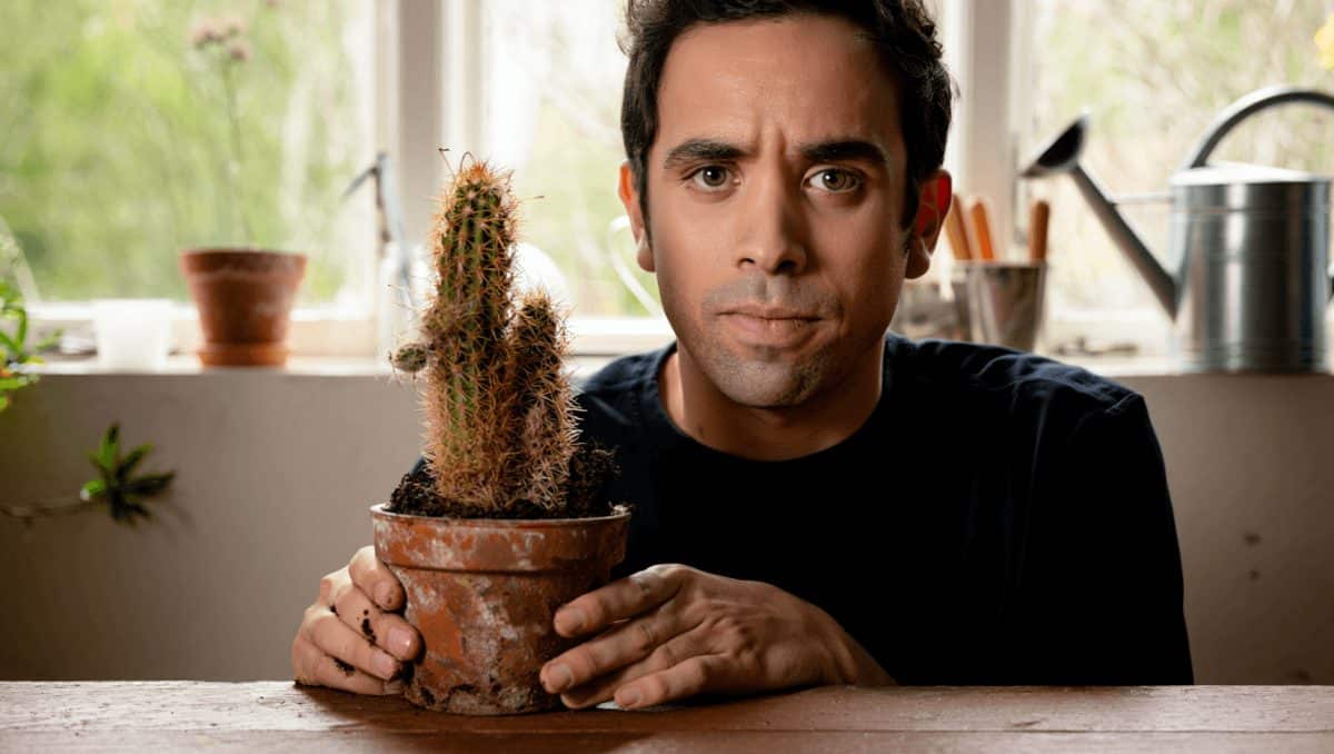 Por qué no crece mi cactus