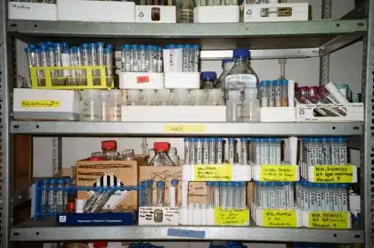 Contenedores de semillas organizados en cámara frigorífica de conservación ex situ