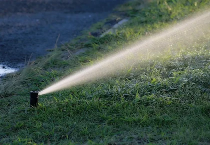 Gotas de agua evaporándose desde el suelo y las hojas de las plantas bajo radiación solar intensa