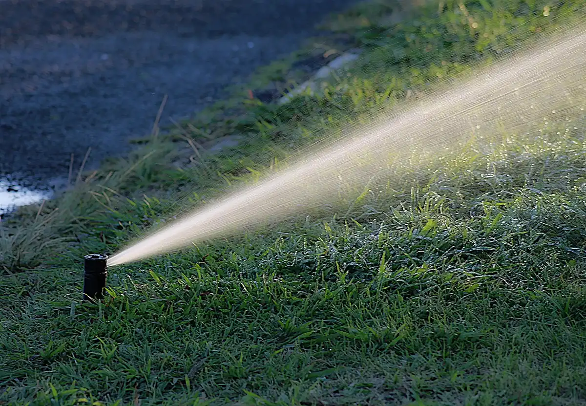 Gotas de agua evaporándose desde el suelo y las hojas de las plantas bajo radiación solar intensa