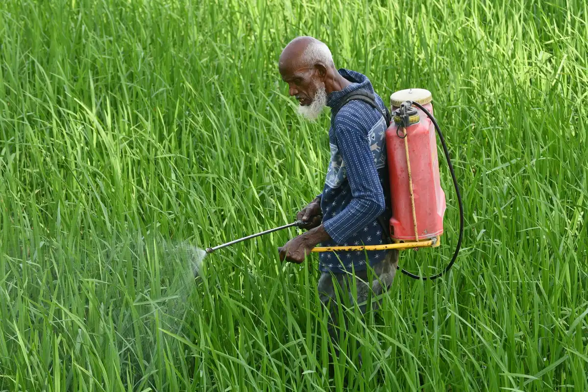 Botellas de jab&oacute;n pot&aacute;sico y aceite de neem para tratamiento ecol&oacute;gico
