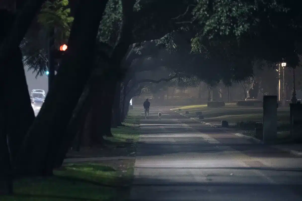 Persona paseando a su perro en un parque durante el d&iacute;a.