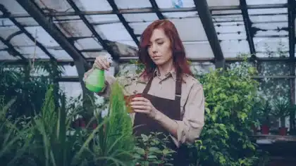 Manos de agricultor aplicando pesticida orgánico en plantas de jardín con luz natural