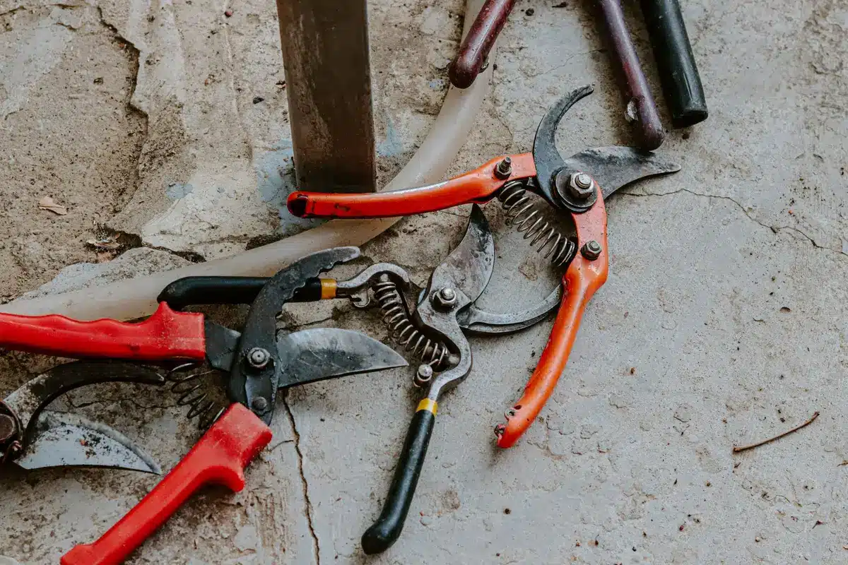 Tijeras y herramientas de poda limpias y afiladas sobre mesa de trabajo