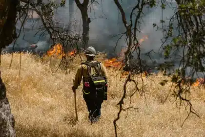 Bomberos forestales trabajando en la extinción de un incendio en zona de pinar y matorral durante la noche