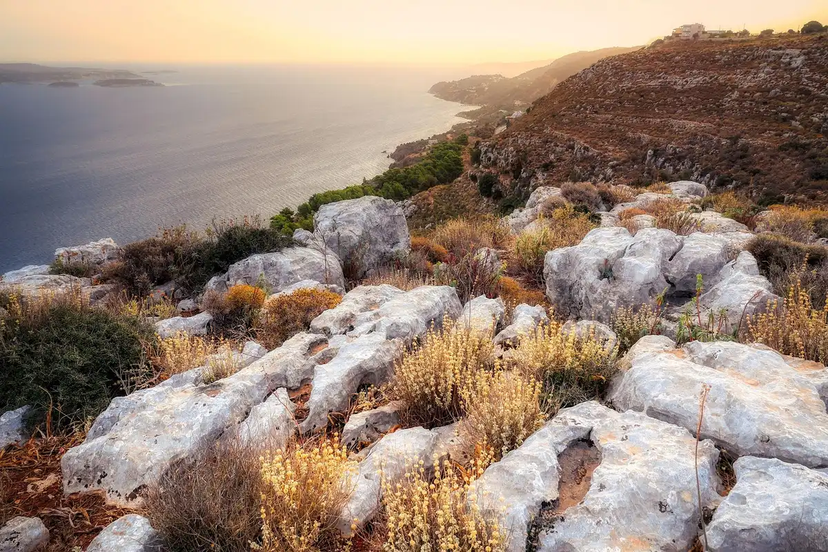 Estuario mediterráneo con muelle y vegetación, corredor natural para especies