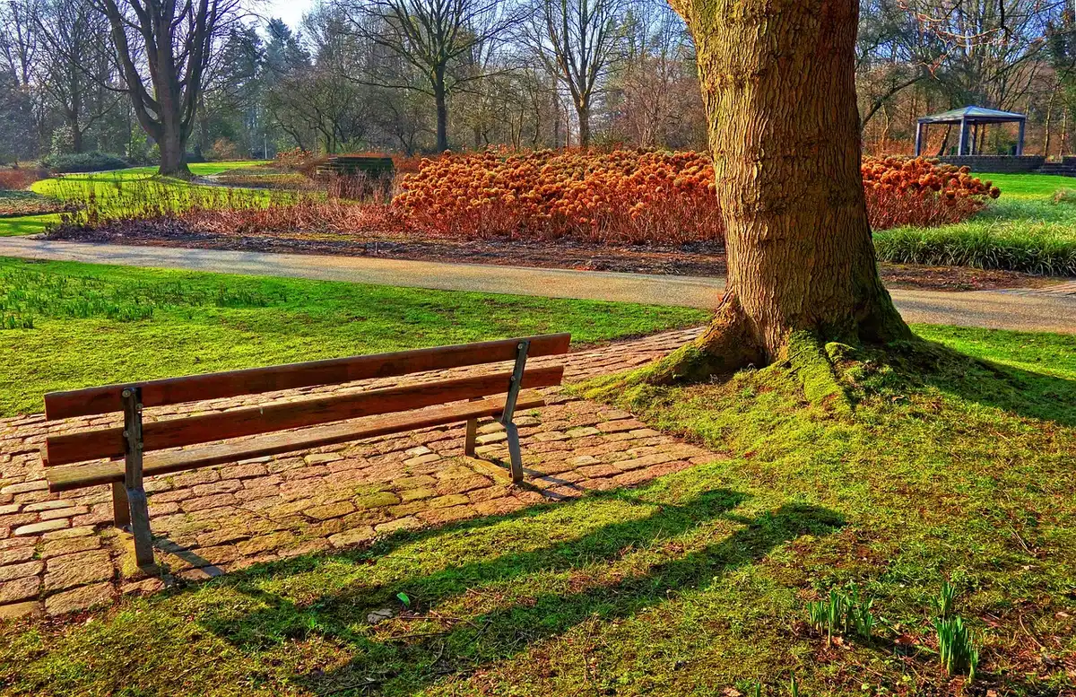 A tidy royal-style garden path at dawn with no people, a wheelbarrow and a folded work jacket left beside a hedge