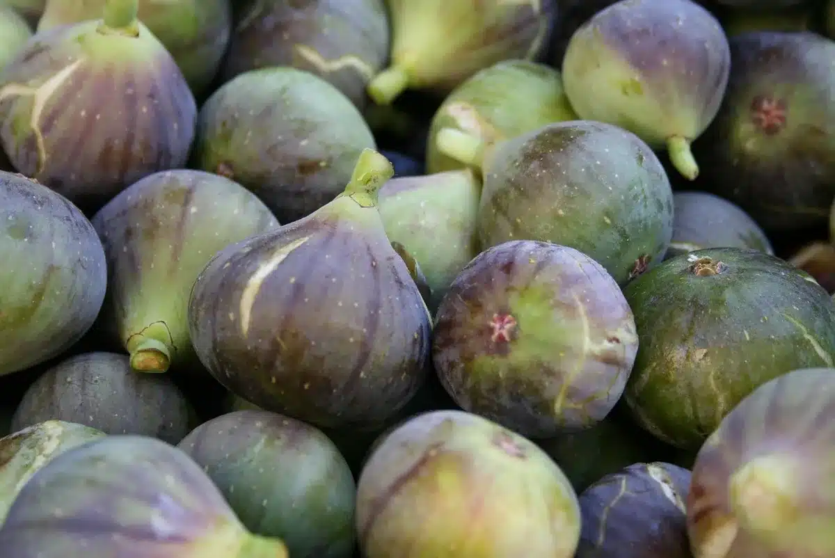 Mesa de mercado con mermeladas y conservas de higo en una plaza