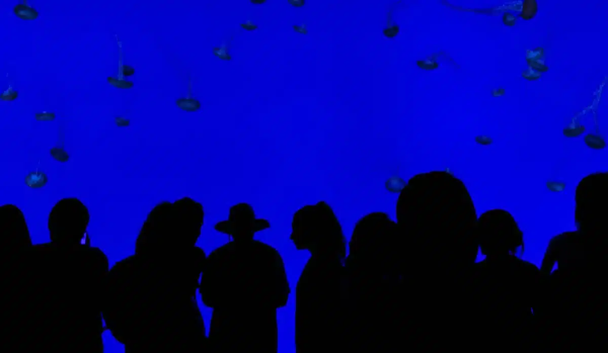 Anonymous fans silhouettes holding scarves in a dimly lit stand, blurred faces, stadium floodlights in background