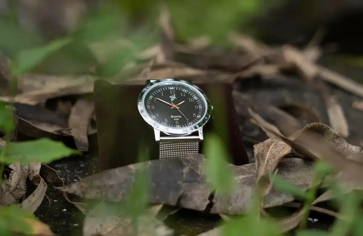 Caja con relojes de alta gama y joyas incautadas durante un registro
