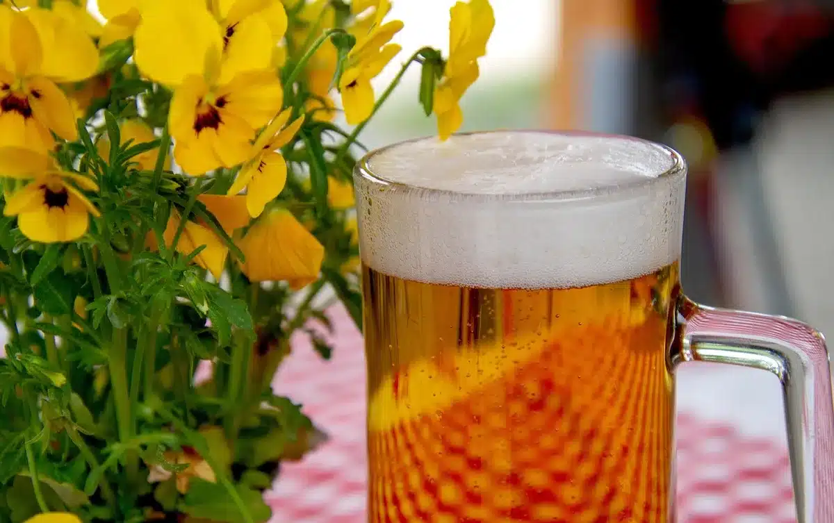 Manos con vasos de cerveza y una guitarra apoyada en un festival musical