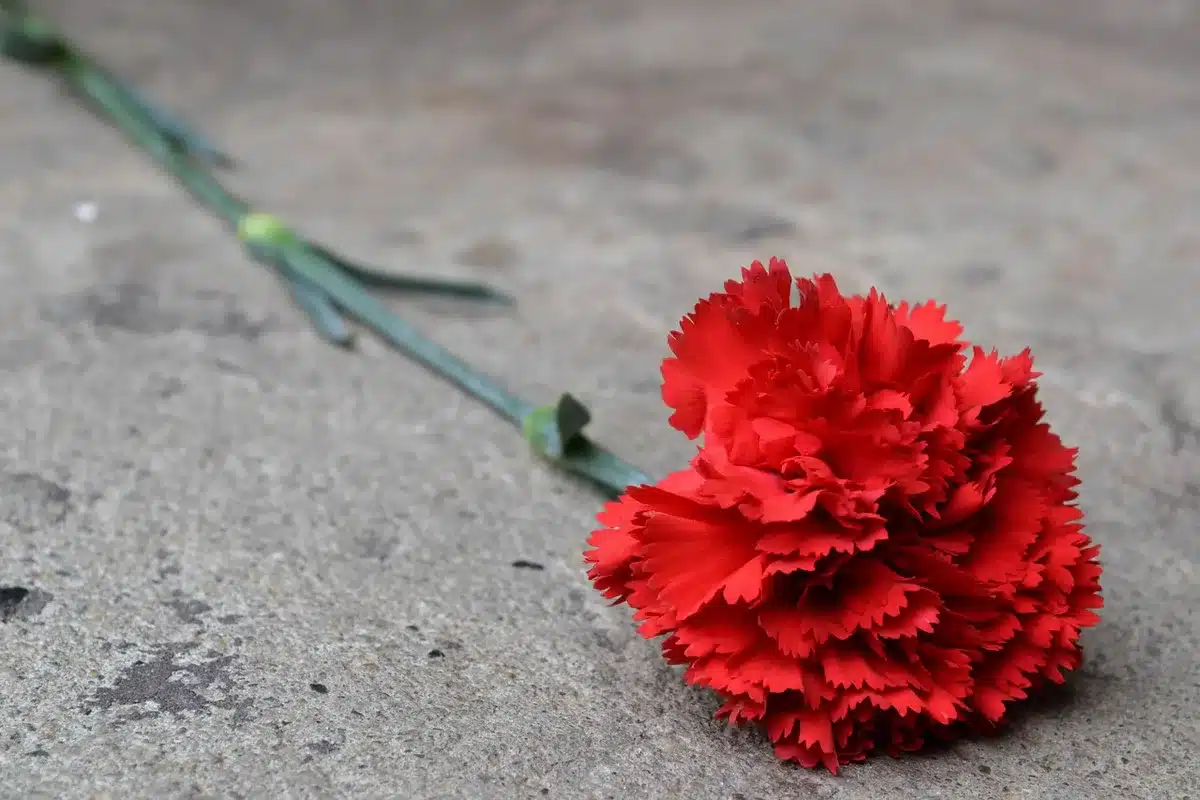 A small cluster of anonymous people leaving floral tributes outside a stately building entrance, coats and umbrellas visible, overcast sky