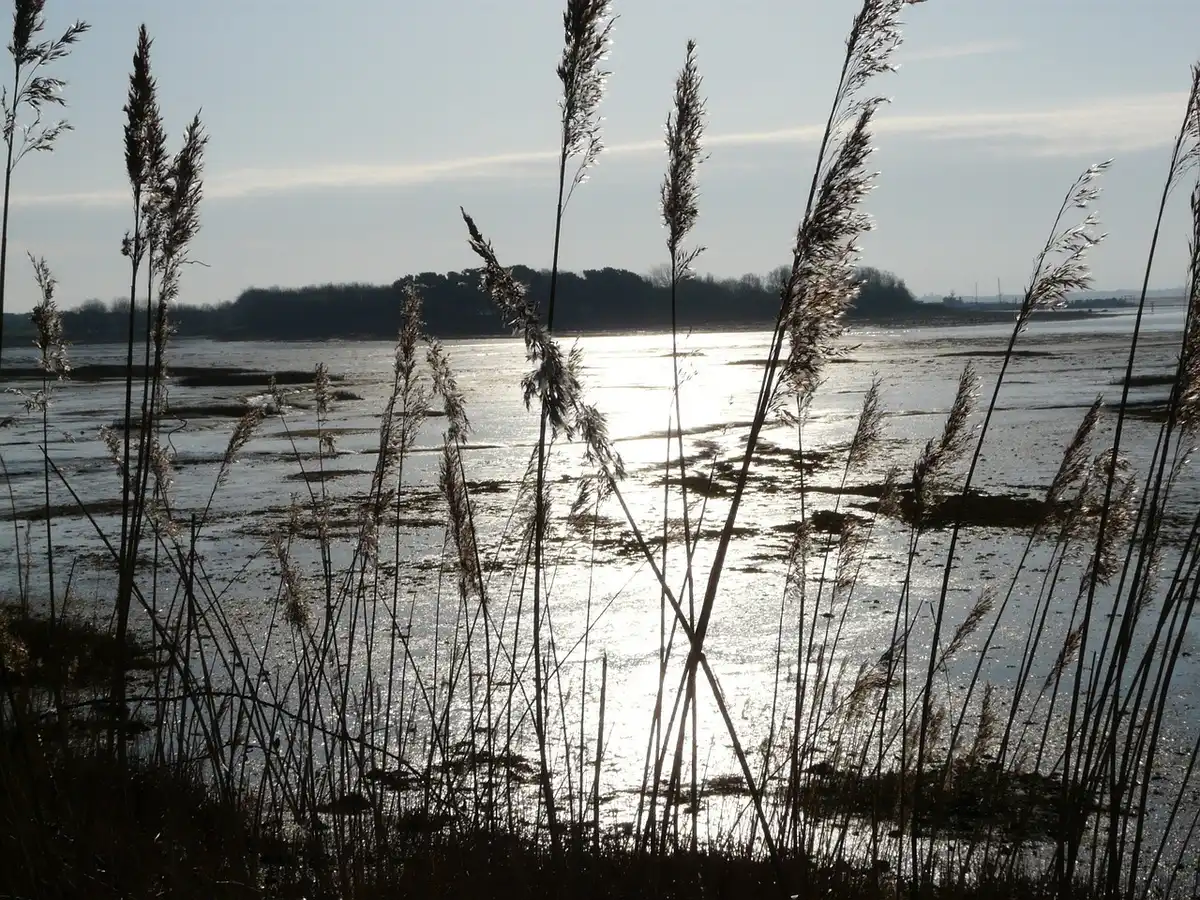 Two anonymous silhouettes watching a sunset from a coastal path, a small celebration setup visible, no faces or logos