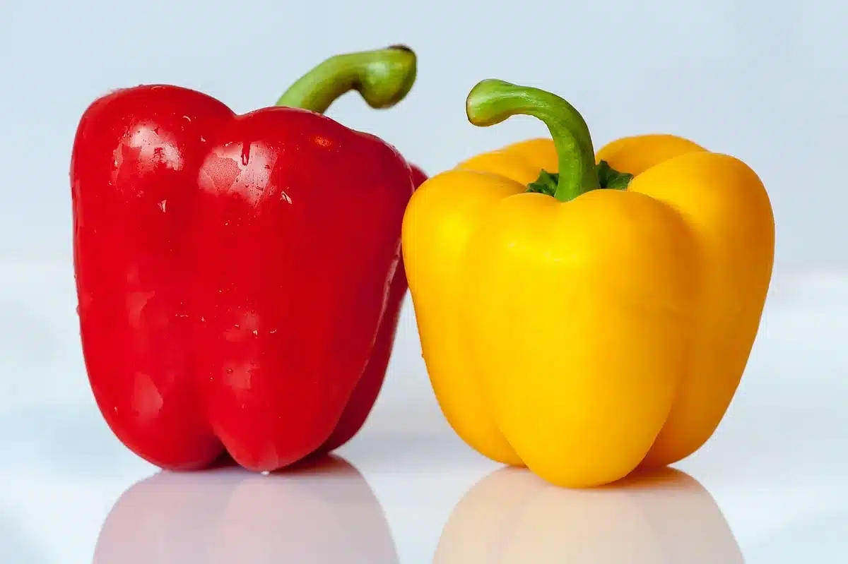 Filas de plántulas de pimiento en invernadero mostrando distintas variedades