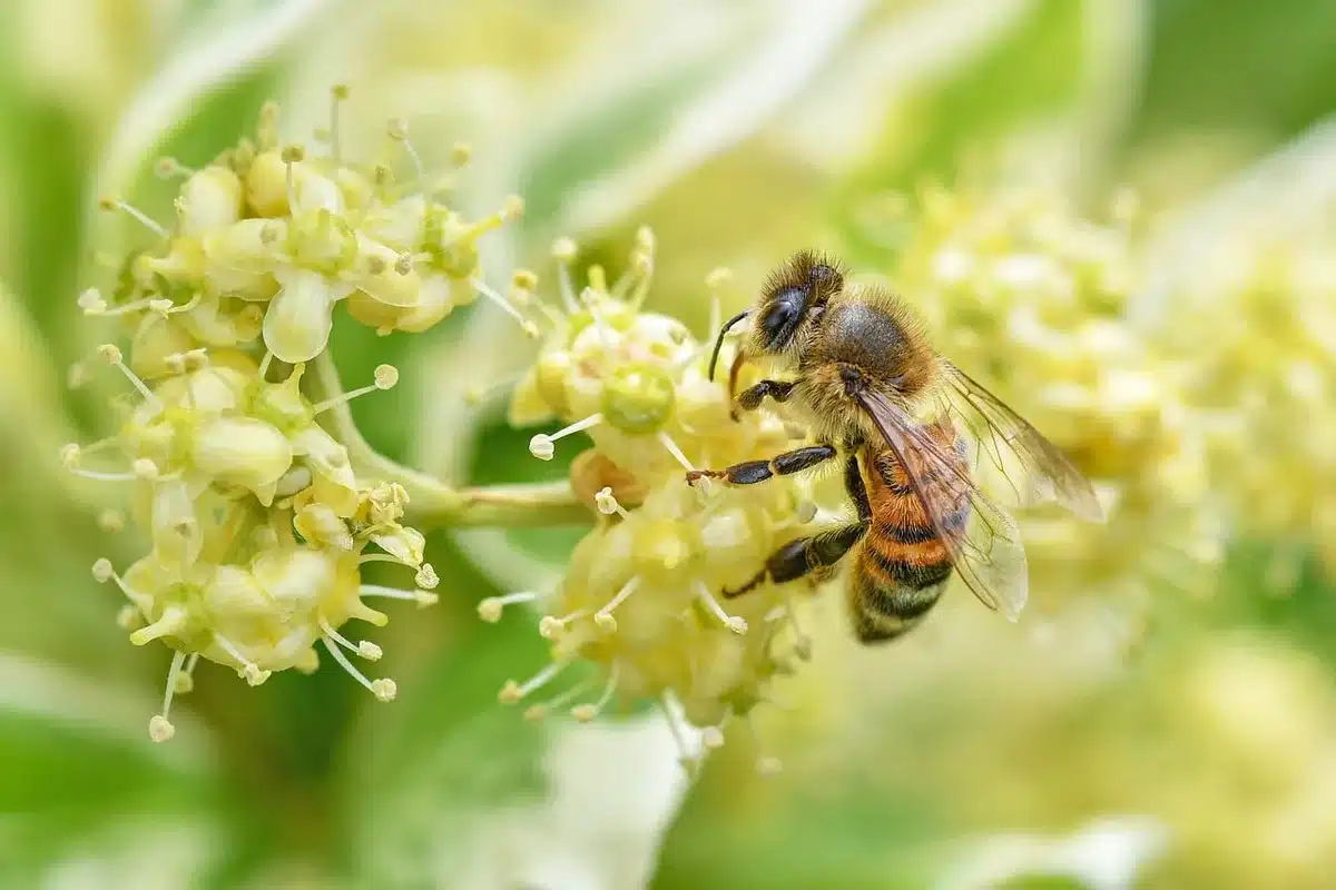 Hotel de insectos casero hecho con cañas y madera en un huerto