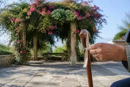 Santa Rita: logra floración abundante con sol y riego medido