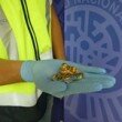efectos recuperados