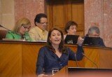 CARMEN CRESPO PARLAMENTO
